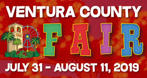 VC Fair