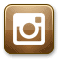 Instagram Icon