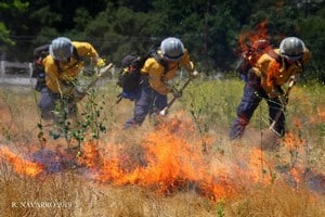 Controlled burn