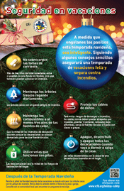 Holiday Safety (ESP)
