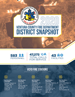 Annual Report 2020
