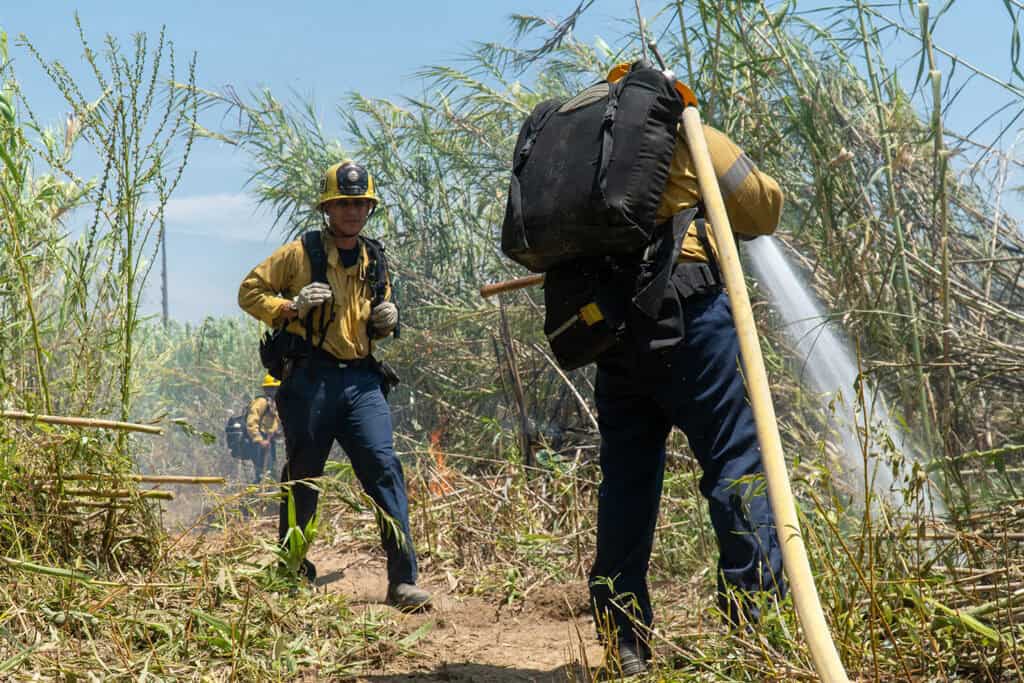 Fire Control worker photo