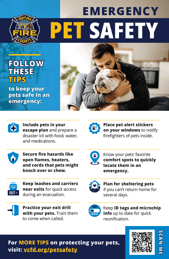 Pet Safety Flyer - English