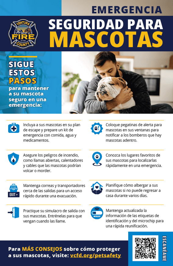 Pet Safety Flyer - Spanish
